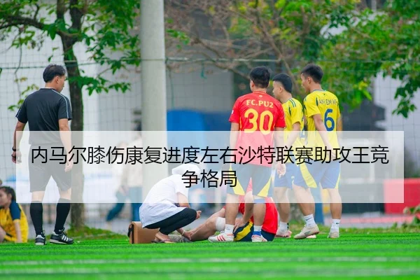 nei-ma-er-xi-shang-kang-fu-jin-du-zuo-you-sha-te-lian-sai-zhu-gong-wang-jing-zheng-ge-ju-3-908.jpg