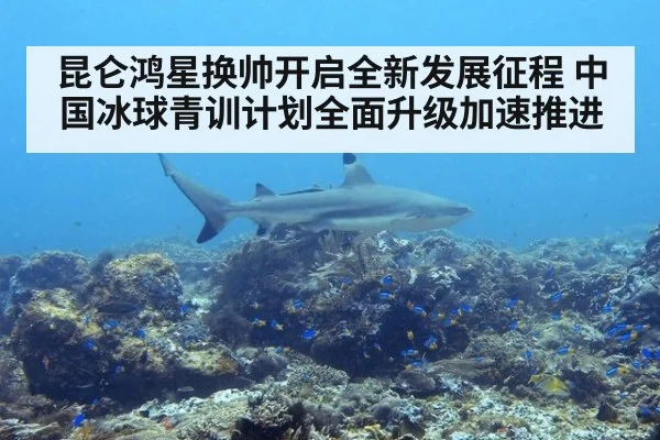昆仑鸿星换帅开启全新发展征程 中国冰球青训计划全面升级加速推进
